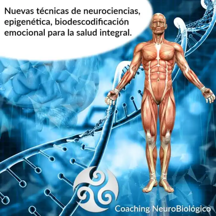 Neurociencias y epigenetica al servicio de la salud.