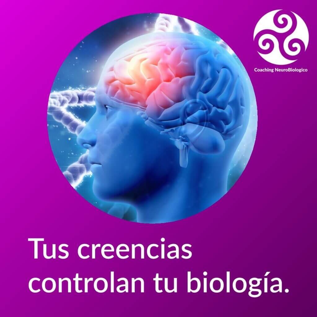 Creencias y biología