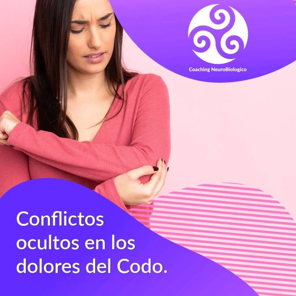 Codo