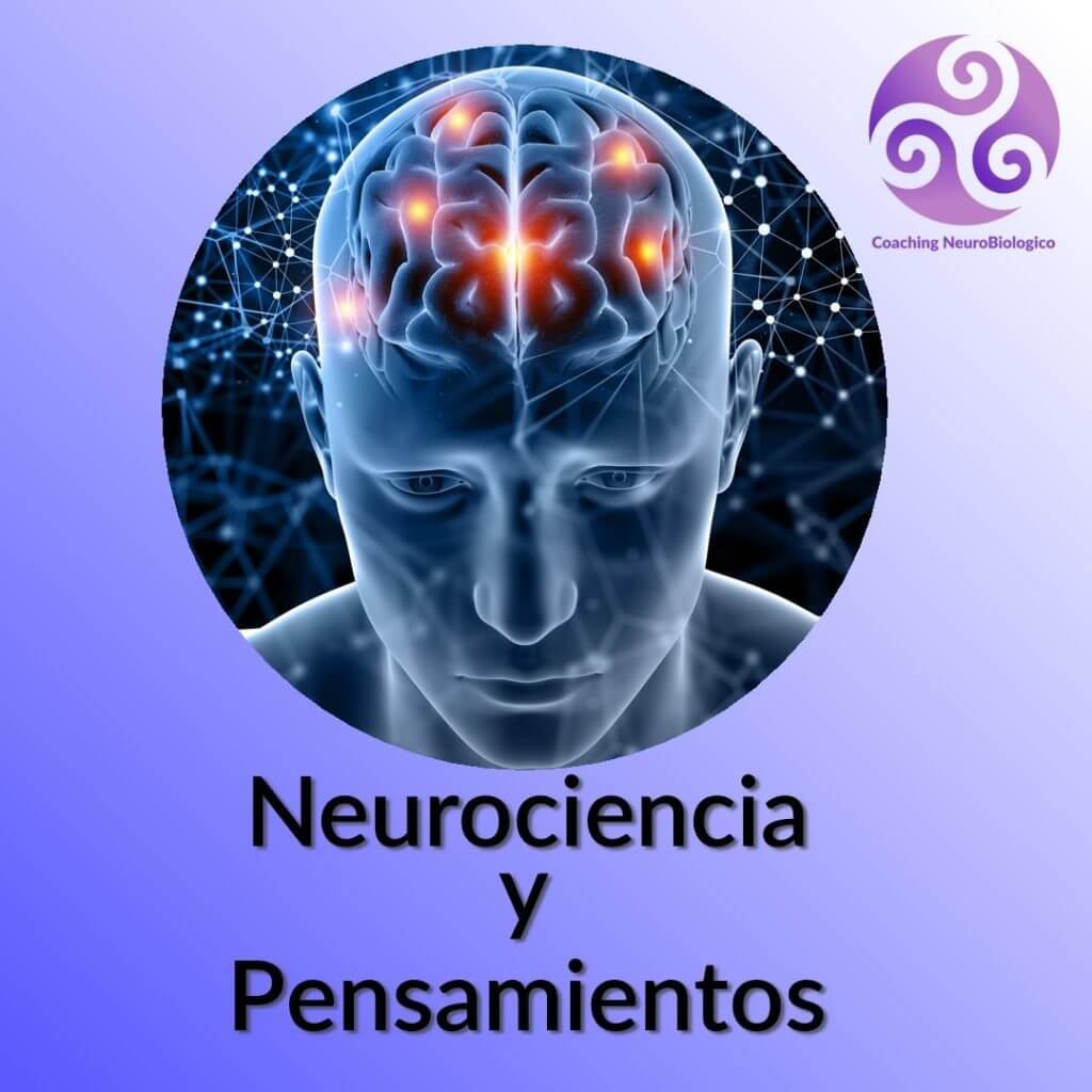 Neurociencia