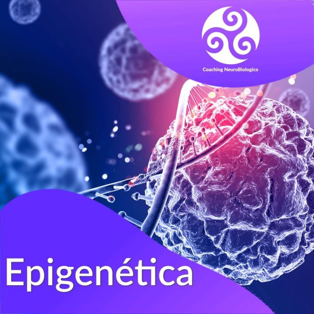 Epigenetica