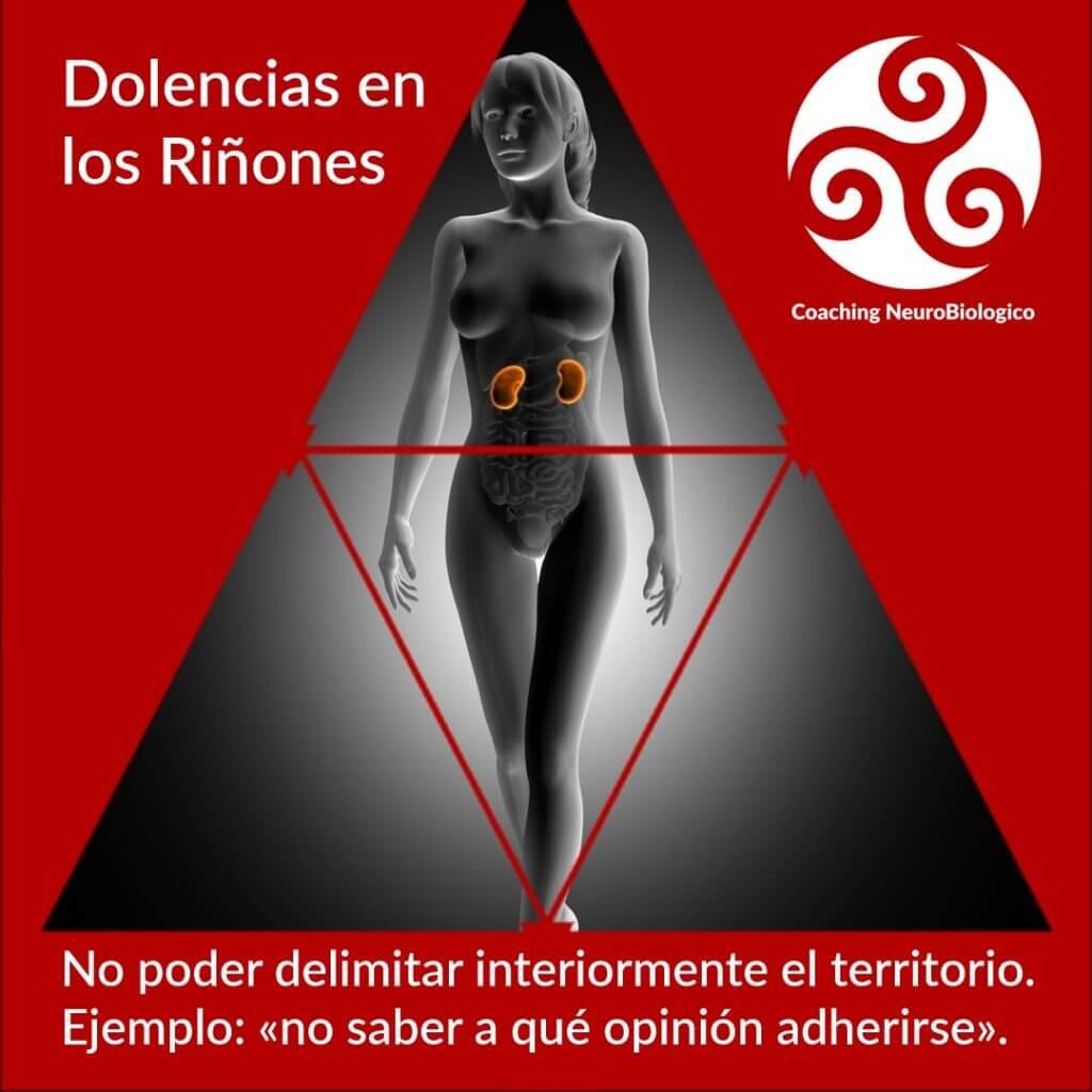 Riñones