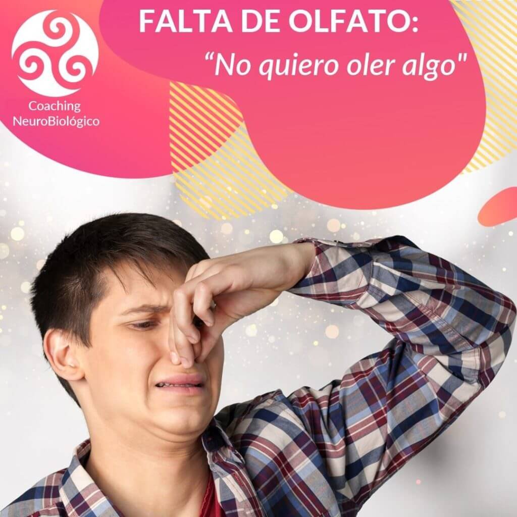 olfato