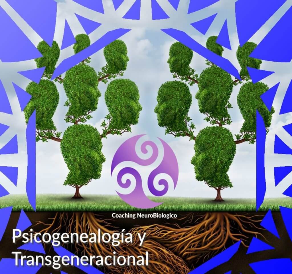 árbol genealógico