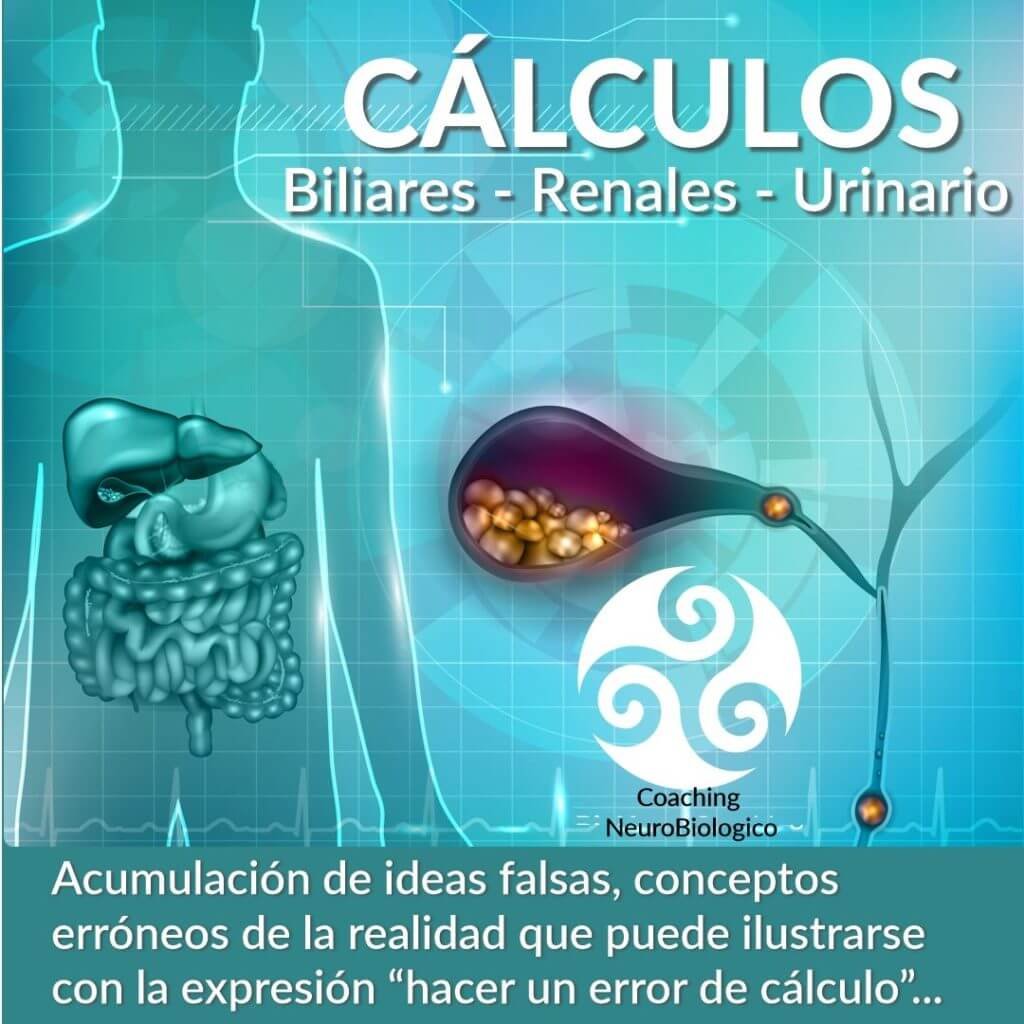 calculos