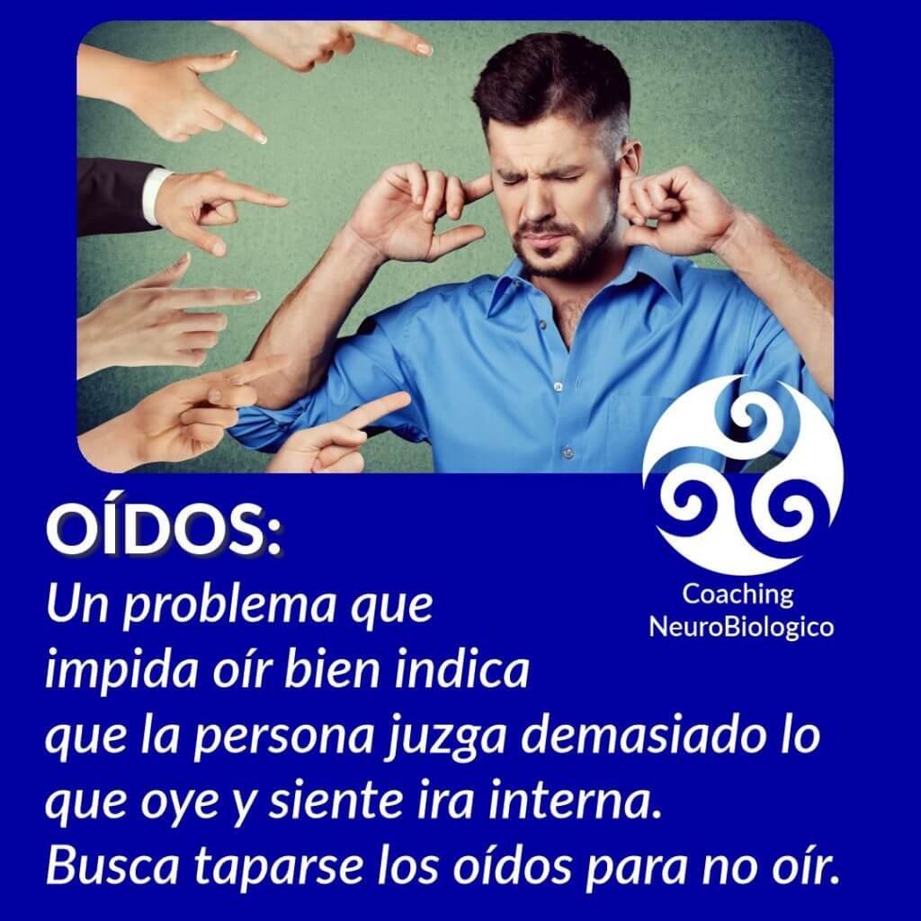 oidos