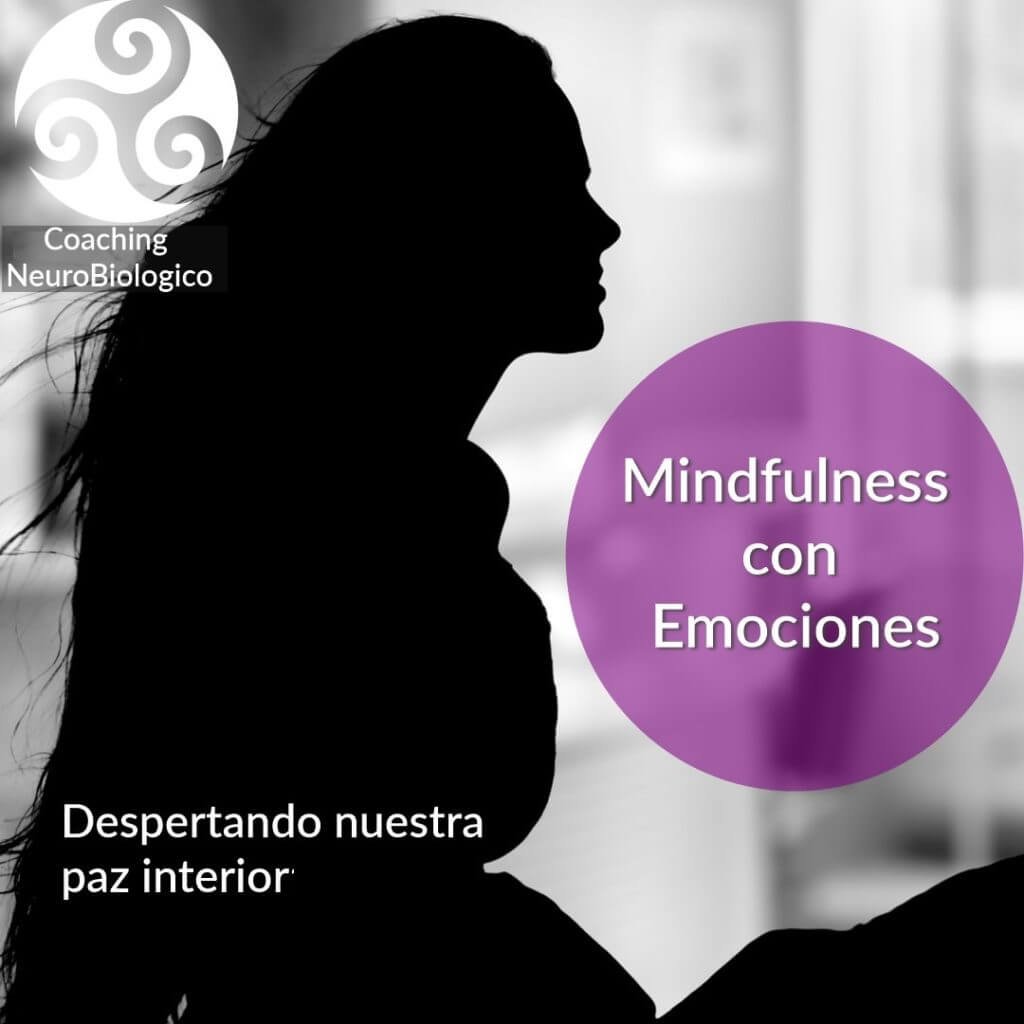 Mindfulness con Emociones