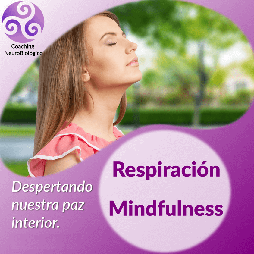 Respiracion Mindfulness