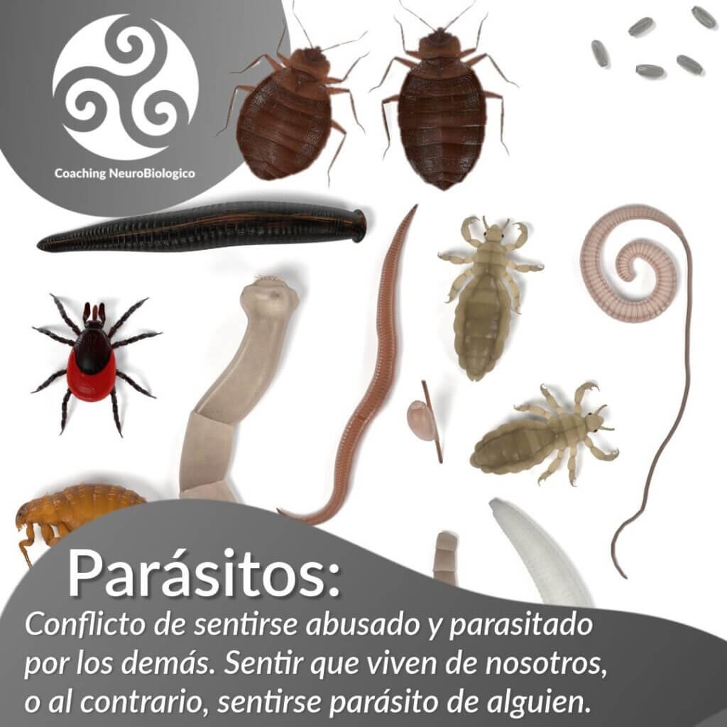 Parasitos