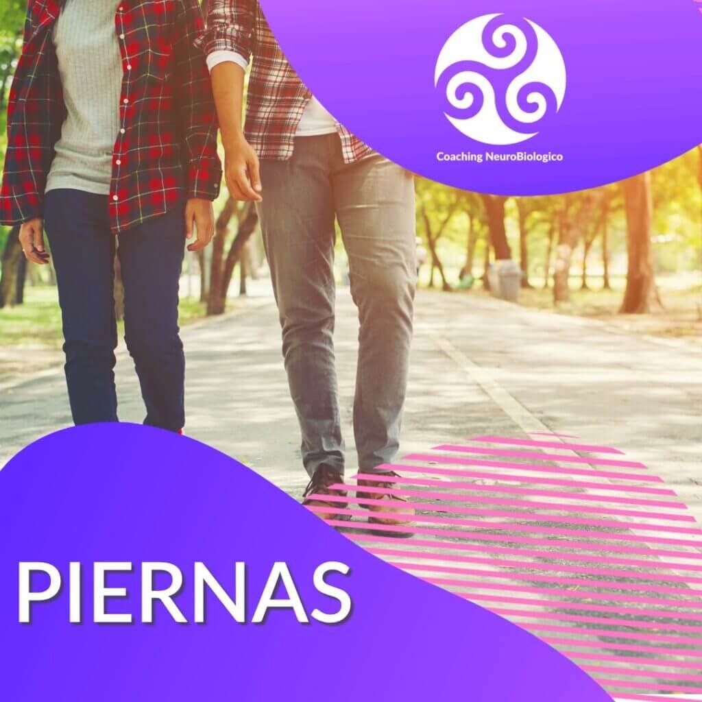 piernas