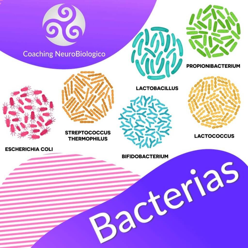 bacterias