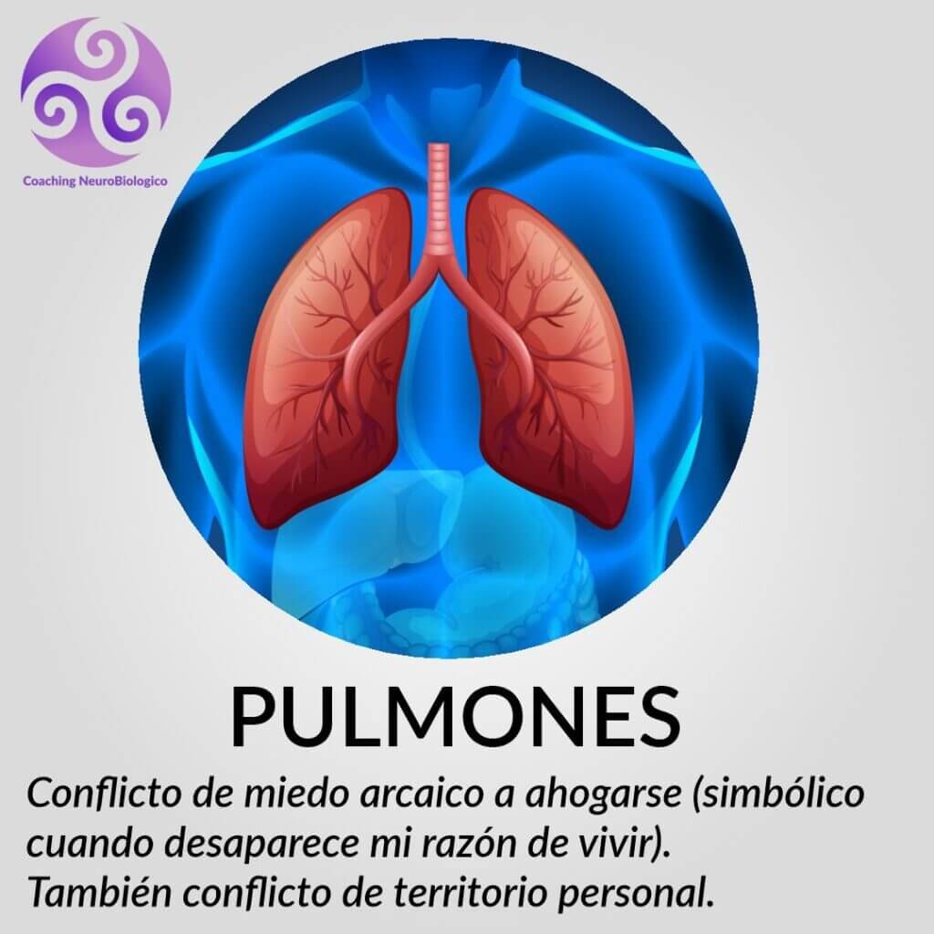 Pulmones