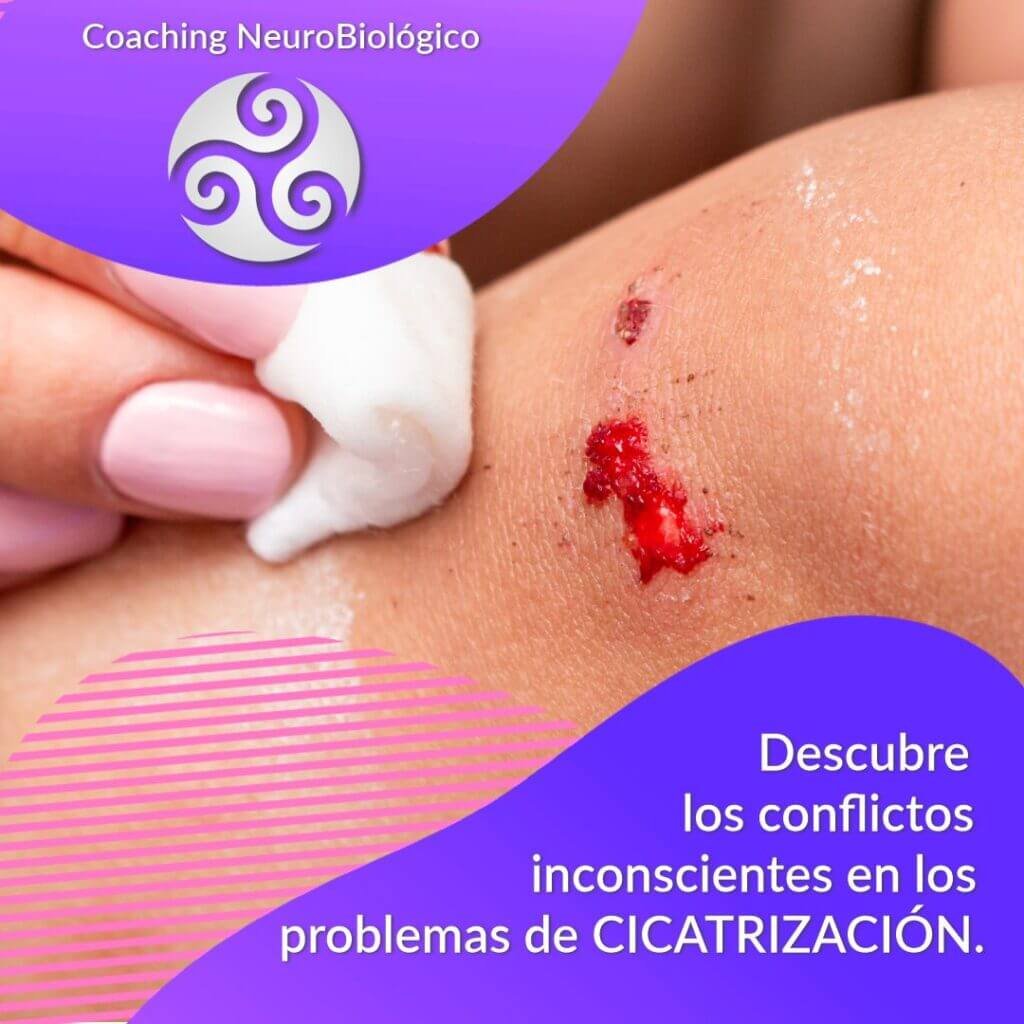 Cicatrizacion