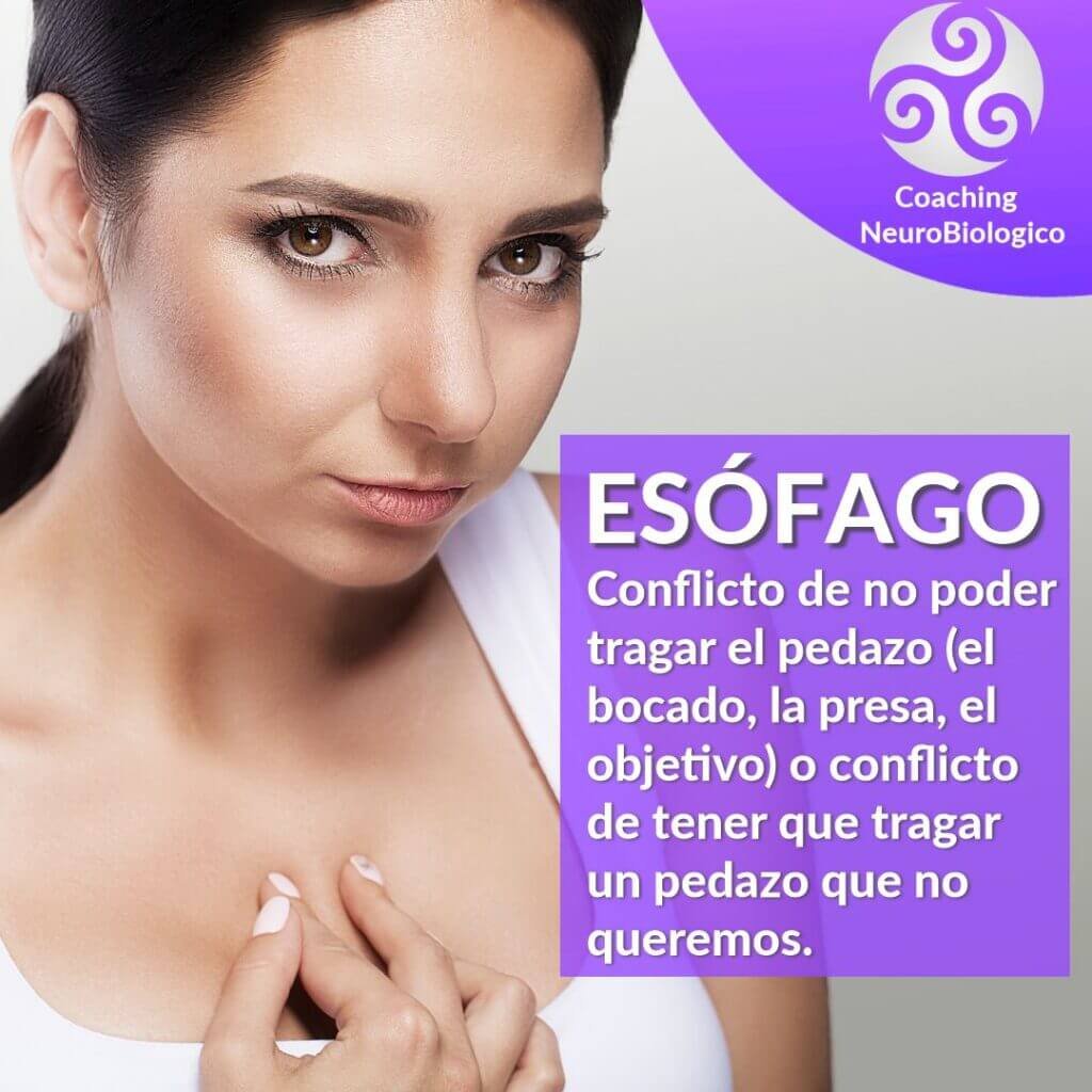 Esofago