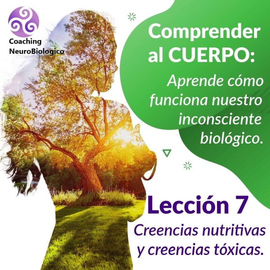 Creencias nutritivas y creencias tóxicas