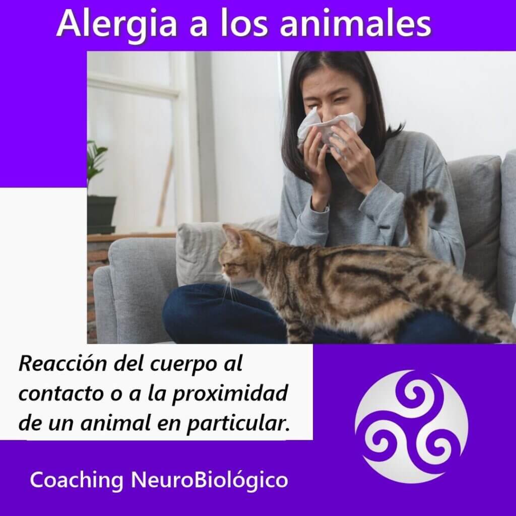 Alergia-animales