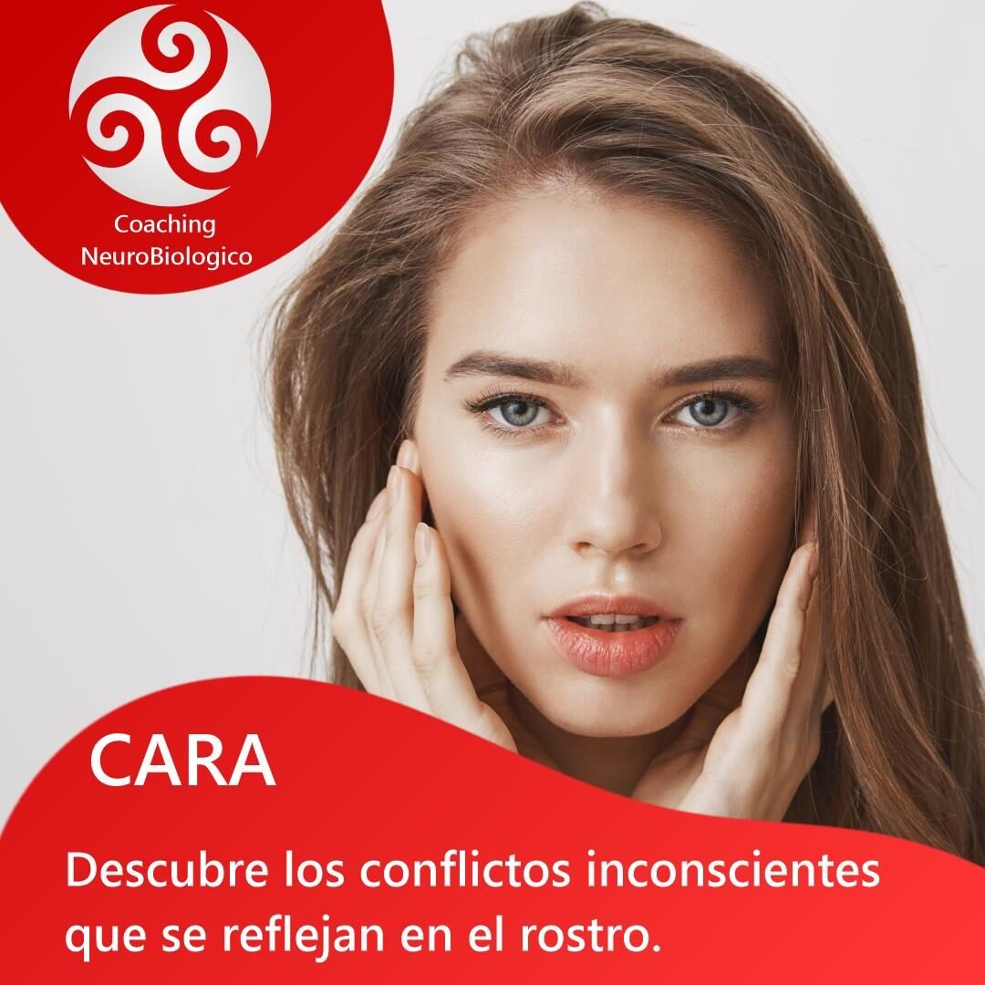 cara rostro