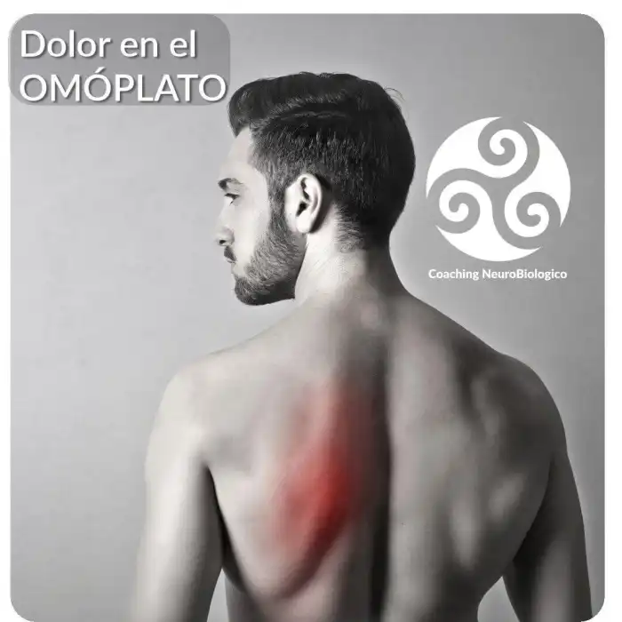 Aliviar el dolor del omoplato