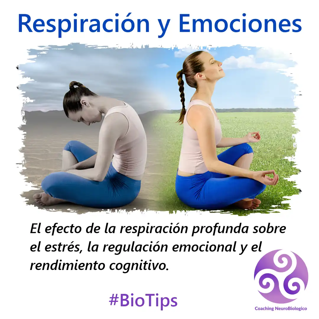 respiración y emoción