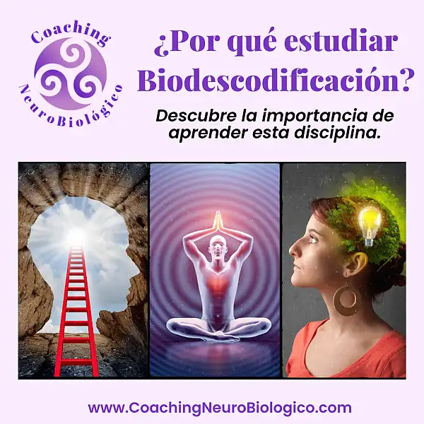 Aprender Biodescodificacion