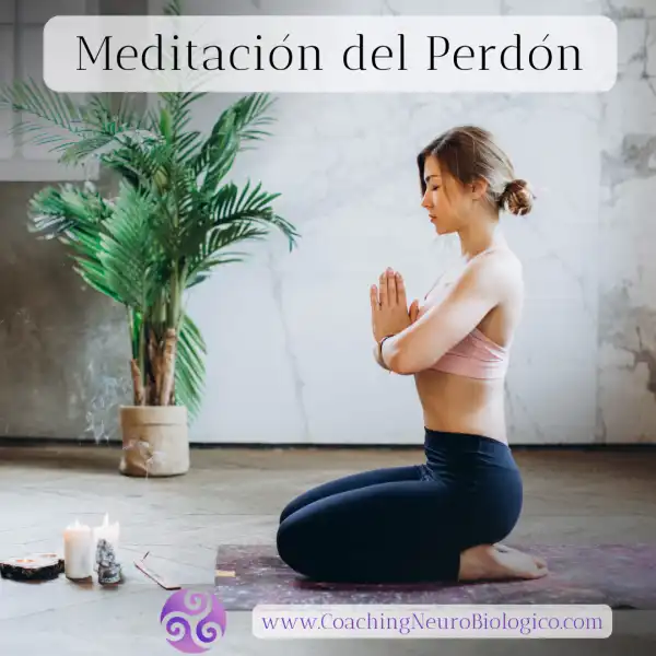 Meditacion del perdon