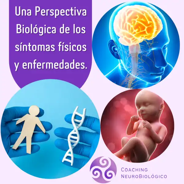 Perspectiva Biológica de los síntomas físicos y enfermedades