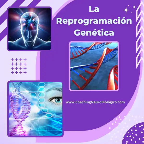 Reprogramación Genética