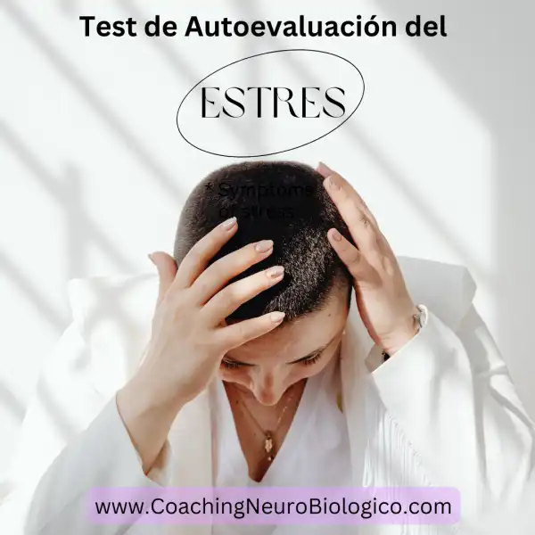 Test de Autoevaluación de Estrés