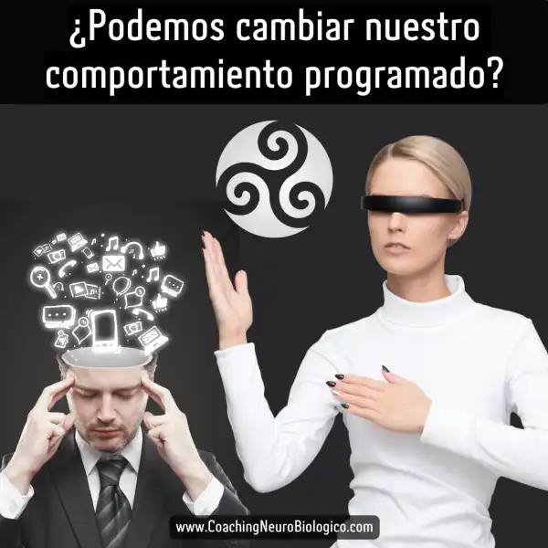 comportamiento programado