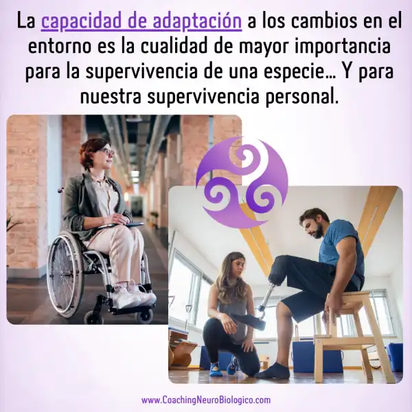 El Cerebro Adaptable: Tu Superpoder Oculto